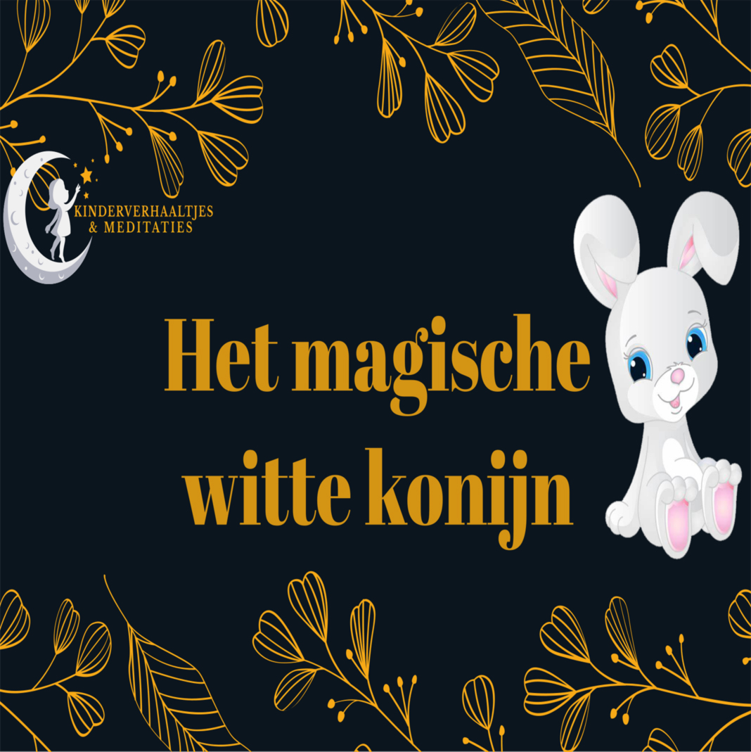 Het magische witte konijn | Kinderverhaaltjes post thumbnail image